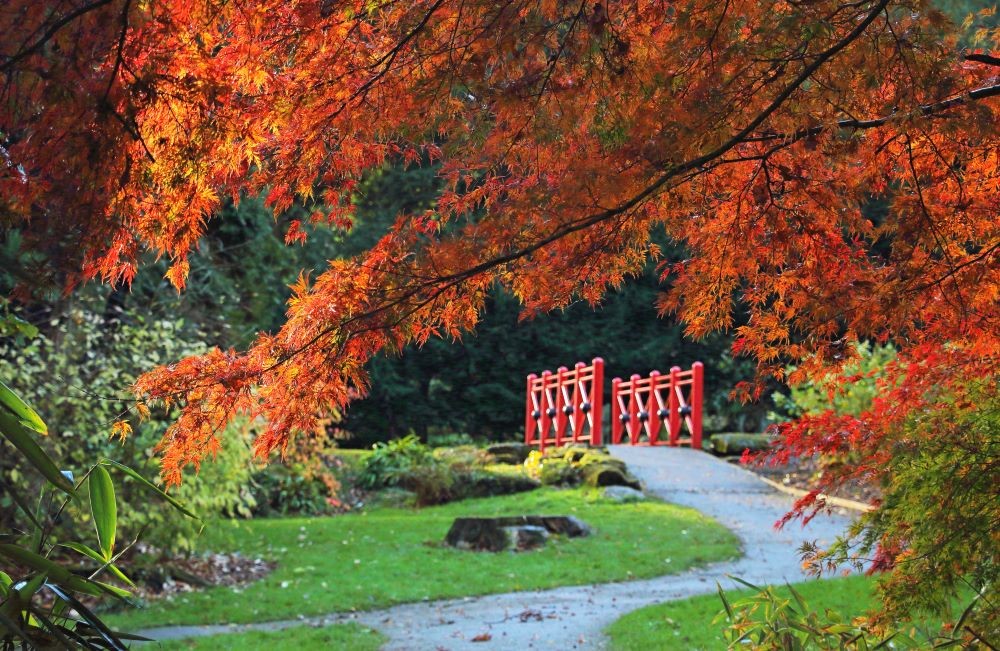 Batsford in the autumn