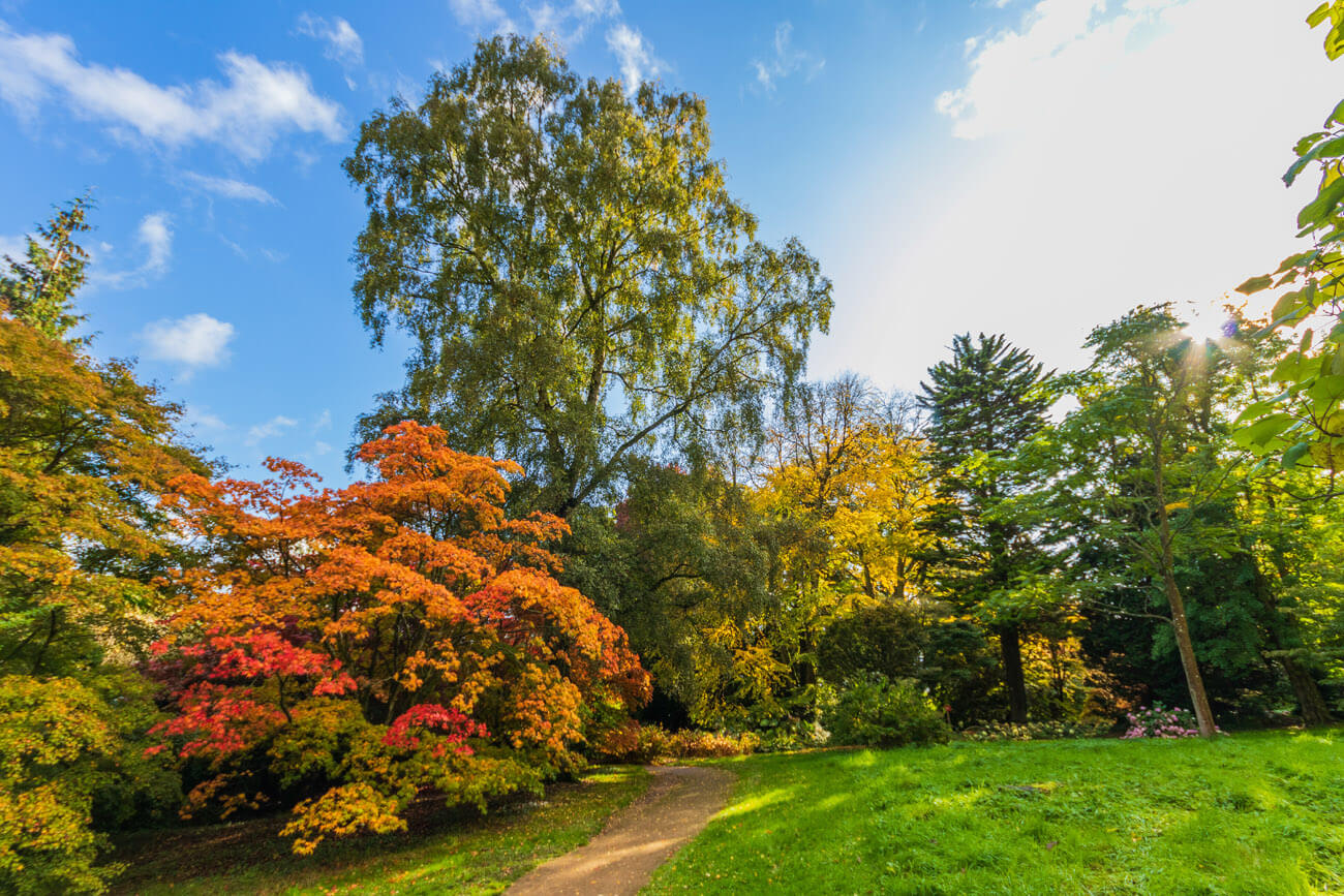 Opening Hours - Batsford Arboretum