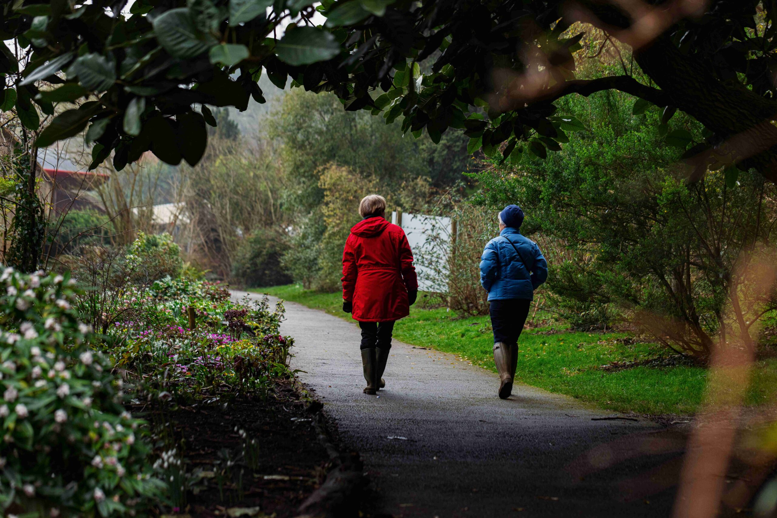 Winter in the arboretum