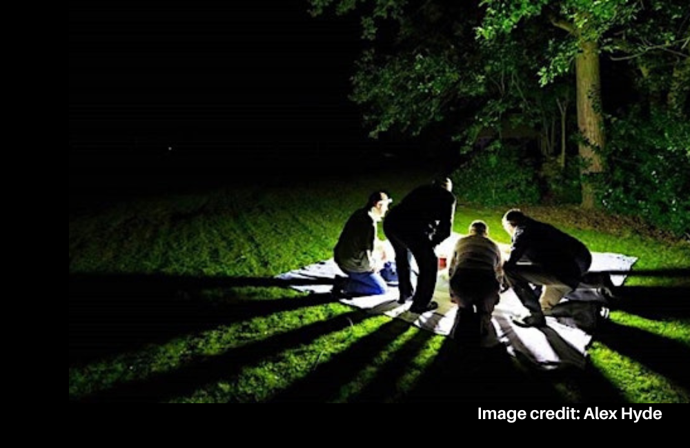 Moth Discovery evening at Batsford Arboretum. Image credit: Alex Hyde
