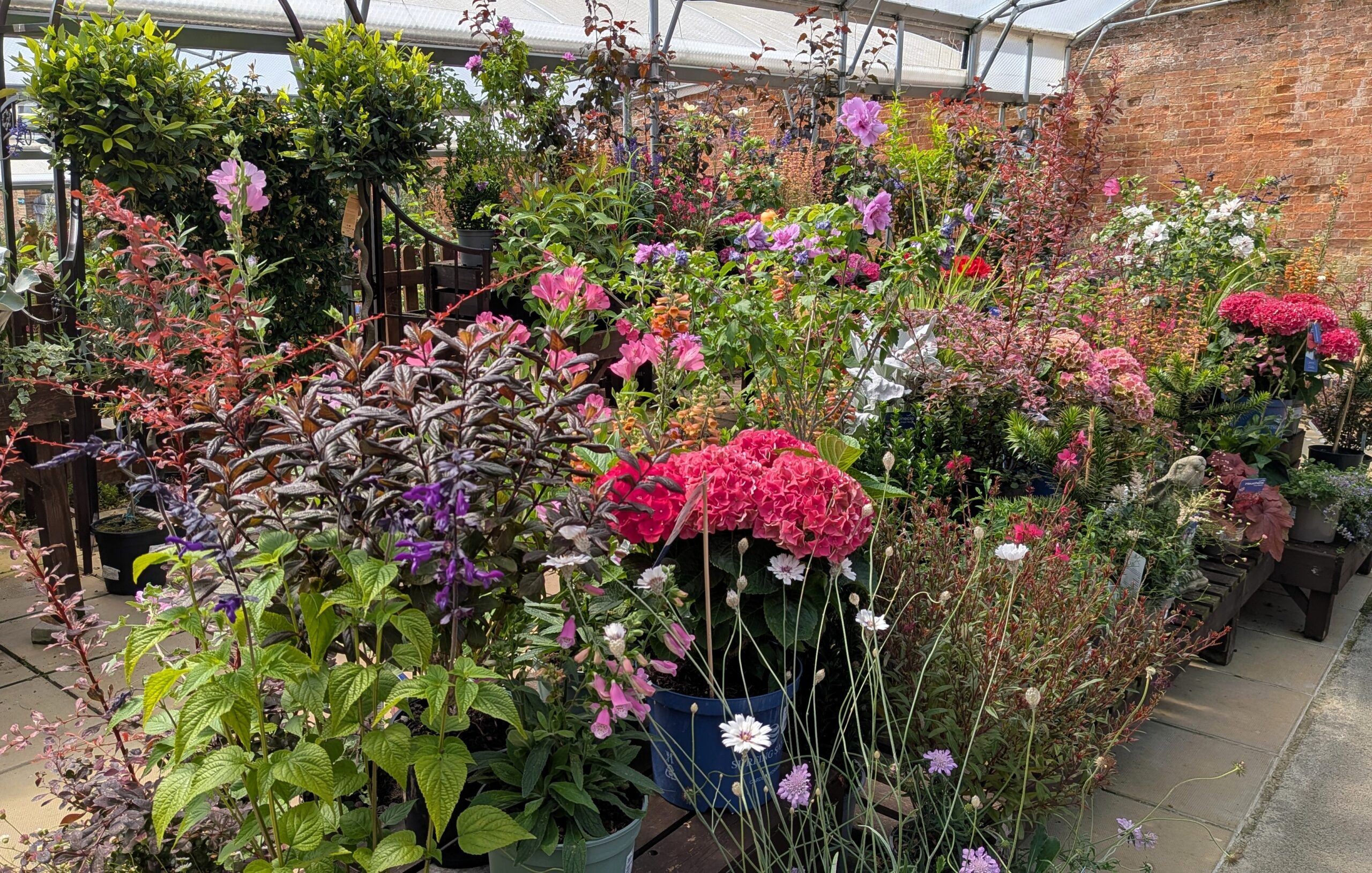 The Plant Centre at Batsford Garden Centre near Moreton-in-Marsh, Cotswolds