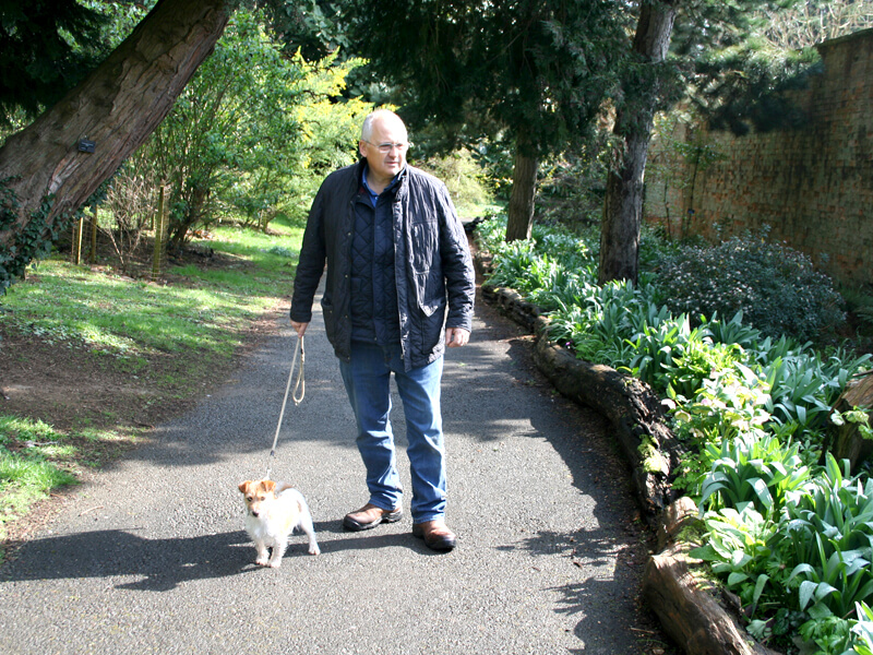 Dog walking at Batsford Arboretum